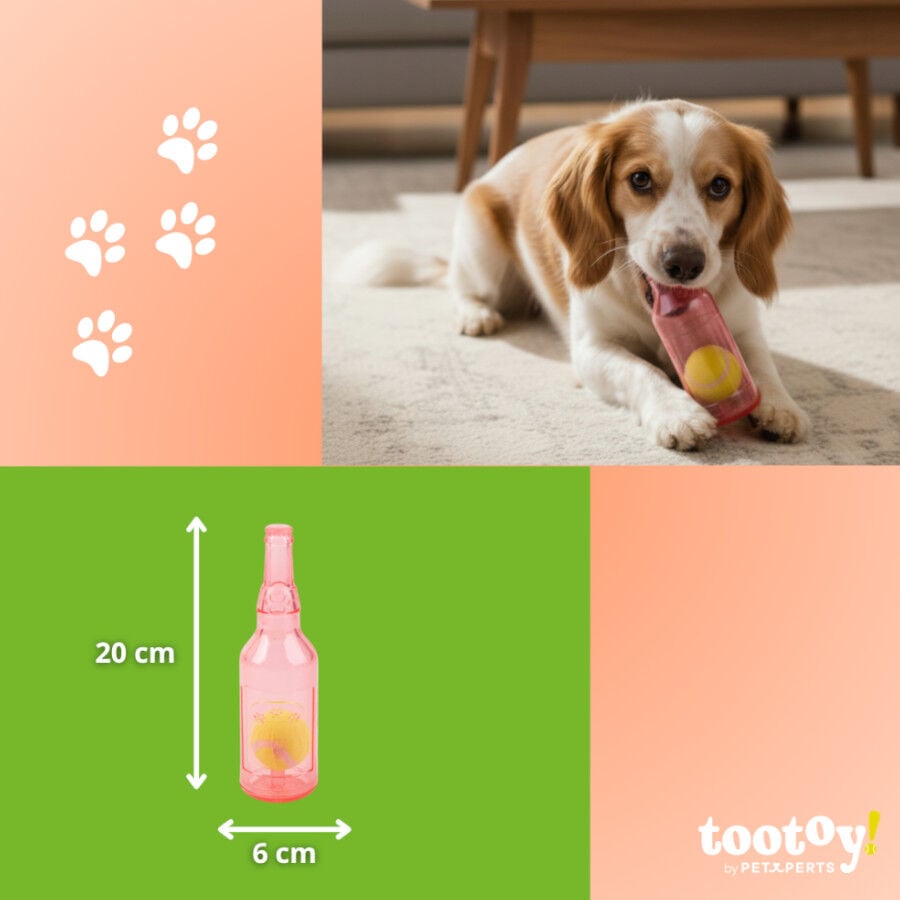 Tootoy! Mordedor Botella con Pelota de Goma para perros, , large indicador imagen numero 5