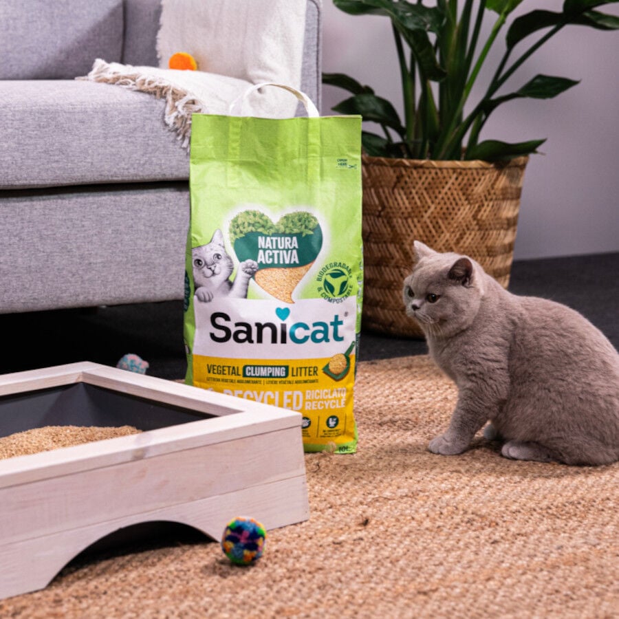 10 L Sanicat Natura Activa Recycled Arena para gatos, , large Imagen numero 5