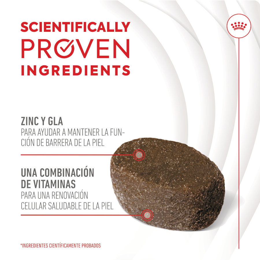240 g Royal Canin Skin & Coat Chews Adult Suplemento nutricional para perros, , large Imagen numero 6