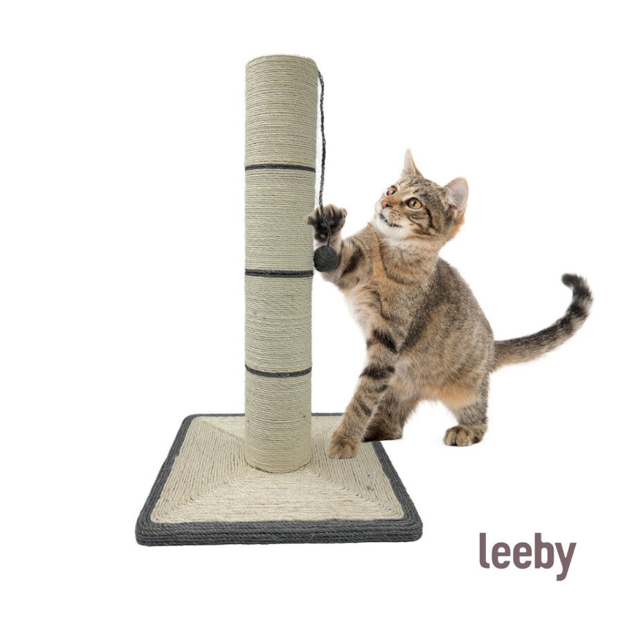 Leeby Isidoro rascador de sisal con juguete para gatos, , large indicador imagen numero 2