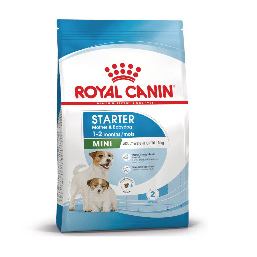 4 kg Royal Canin Starter MotheryBaby Mini pienso para perros, , large indicador imagen numero 1