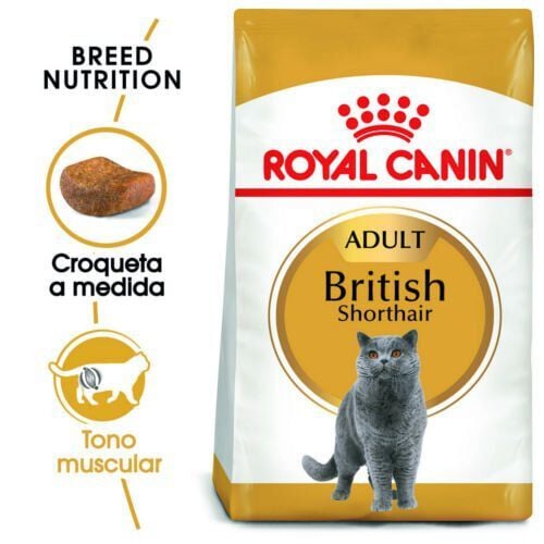 10 kg Royal Canin Adult British Shorthair pienso para gatos, , large Imagen numero 2