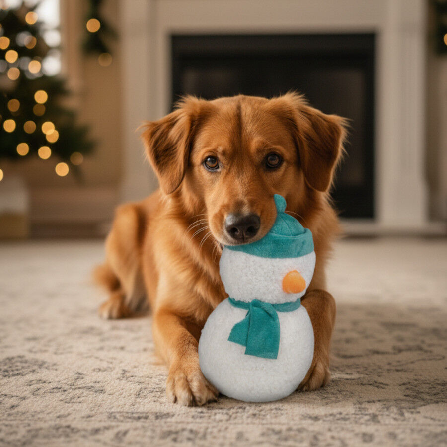 Wonder Christmas Peluche Mu&ntilde;eco de Nieve Navide&ntilde;o para perros, , large indicador imagen numero 3