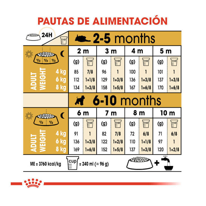 1.5 kg Royal Canin Puppy Miniature Schnauzer pienso para perros, , large indicador imagen numero 2