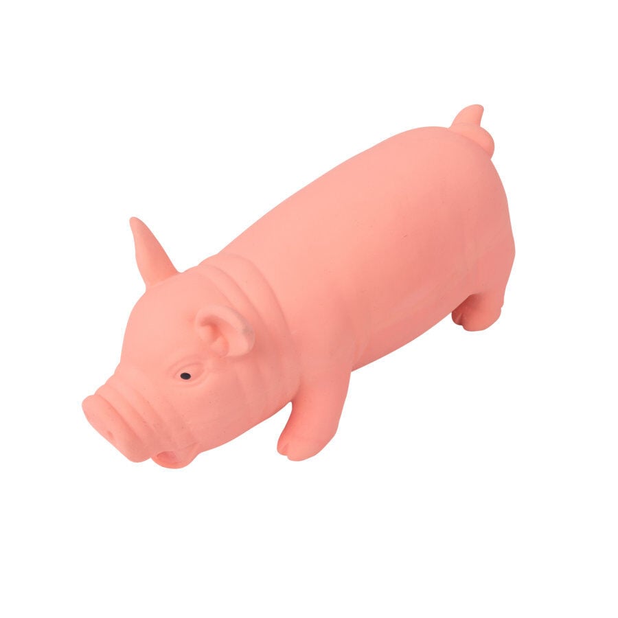 Tootoy! Chew Grunting Pig mordedor para perros, , large Imagen numero 1