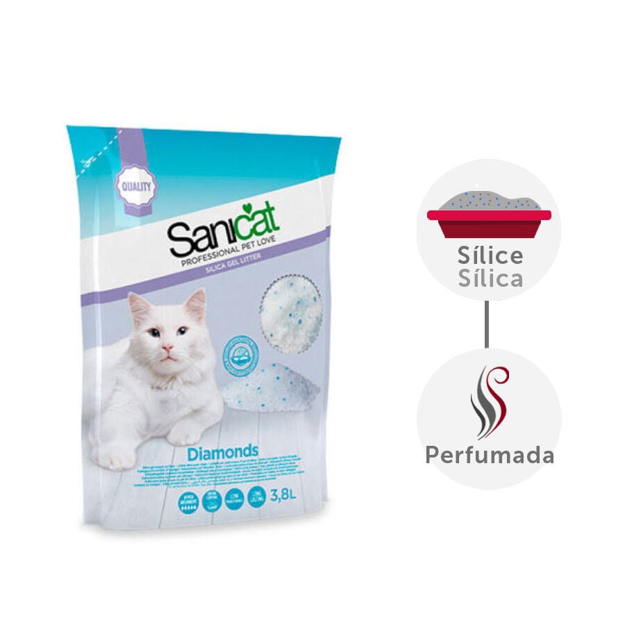 3.8 L Sanicat Diamonds Arena S&iacute;lice, , large Imagen numero 2