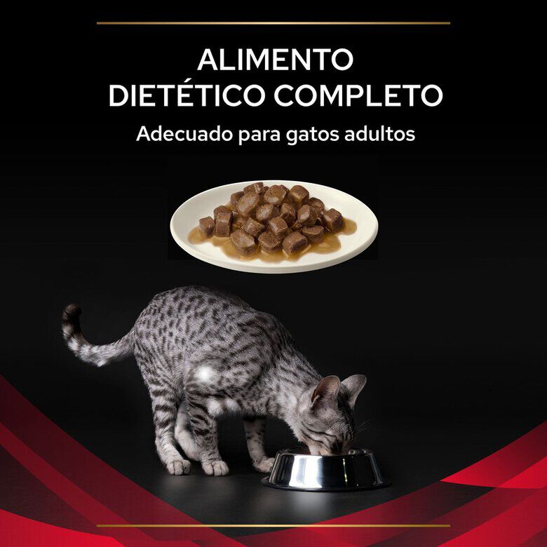 10 sobres x 85 g Pro Plan Veterinary Diets Diabetes DM sobres para gatos, , large indicador imagen numero 4