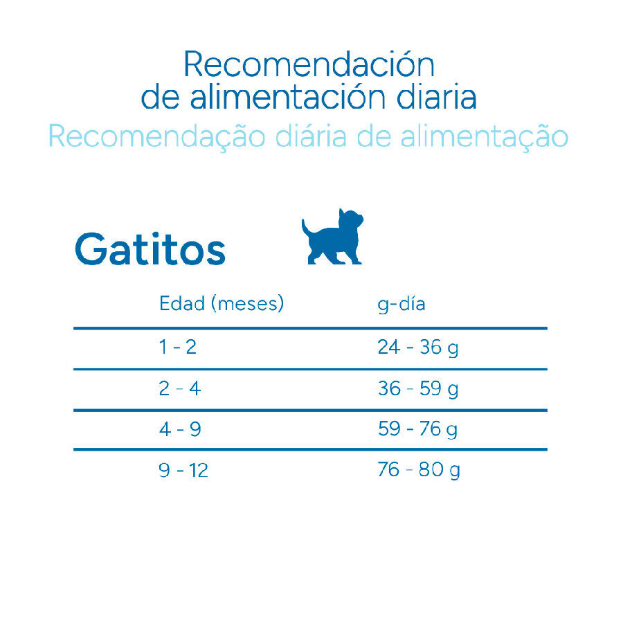 2 kg Criadores Cient&iacute;fico Mother & Baby Cat pollo pienso para gatos, , large Imagen numero 10