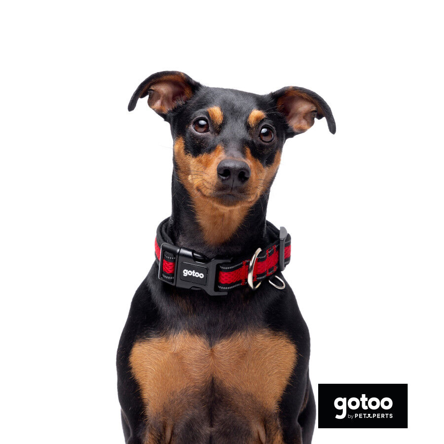 Gotoo Collar de malla transpirable rojo para perros, , large indicador imagen numero 3