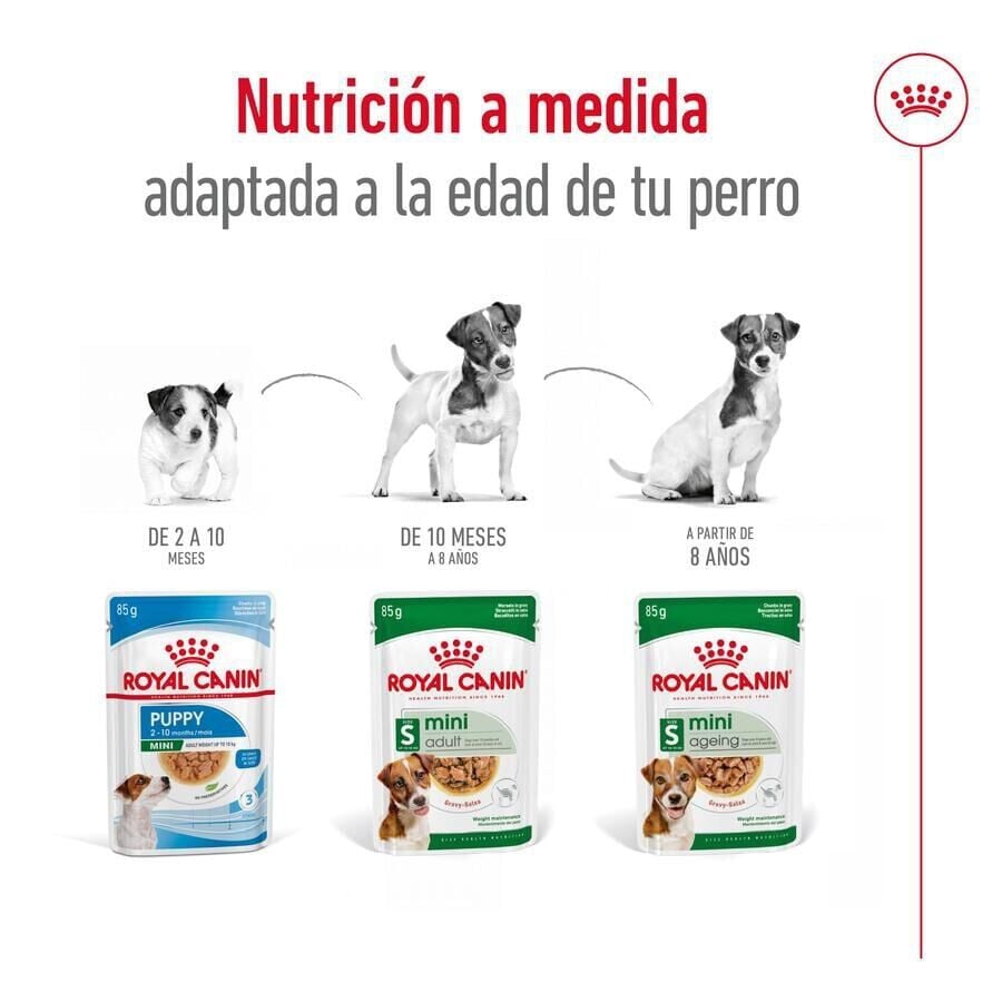 85 g Royal Canin Mini Adult sobre en salsa para perros, , large Imagen numero 5