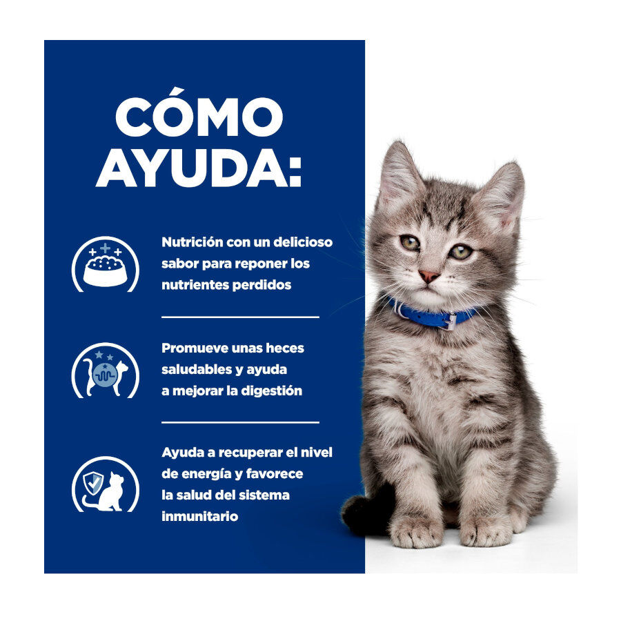 12 latas x 85 g Hill's Prescription Diet I/D Digestive Care Kitten Lata Pollo para gatos, , large Imagen numero 4