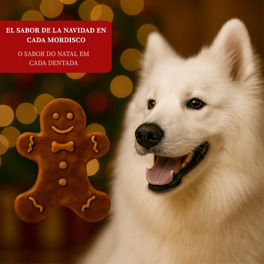 75 g Wonder Christmas Galleta de Jengibre para perros, , large Imagen numero 4