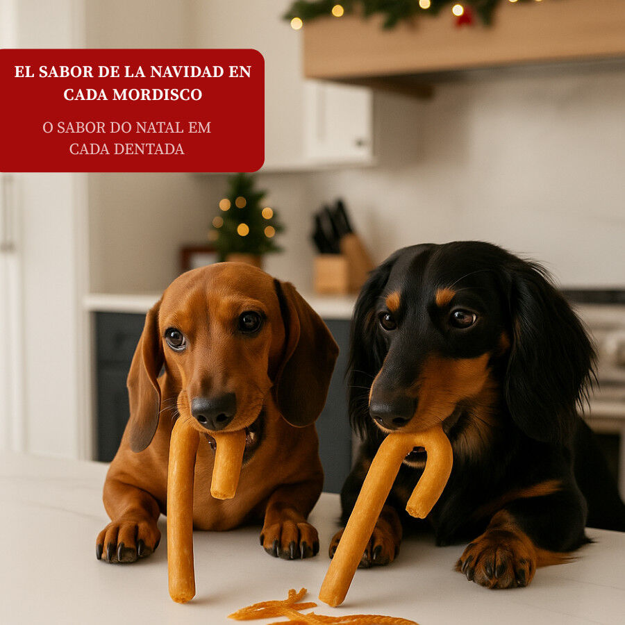 2 snacks Wonder Christmas Snack Navide&ntilde;o para perros, , large indicador imagen numero 4