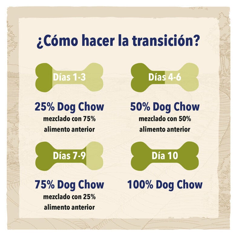 Dog Chow Mature Senior Pollo pienso para perros4 Imagen numero 4