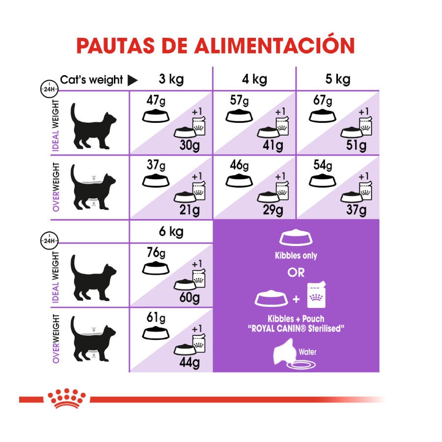 10 kg Royal Canin Regular Sterilised 37 pienso para gatos, , large Imagen numero 7