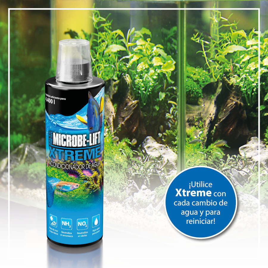 Microbe-Lift Xtreme Acondicionador de Agua para acuarios, , large Imagen numero 4