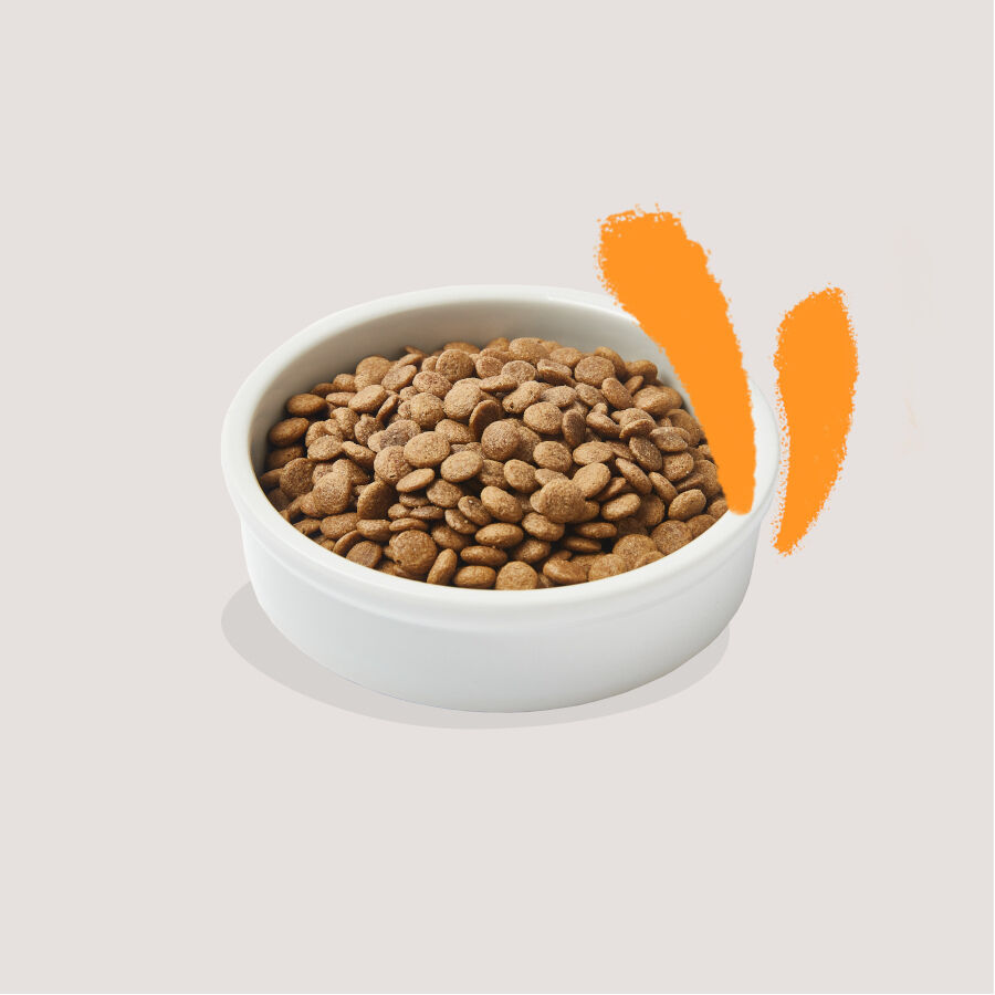 4 kg Edgard & Cooper Adult Pollo pienso para gatos, , large Imagen numero 3