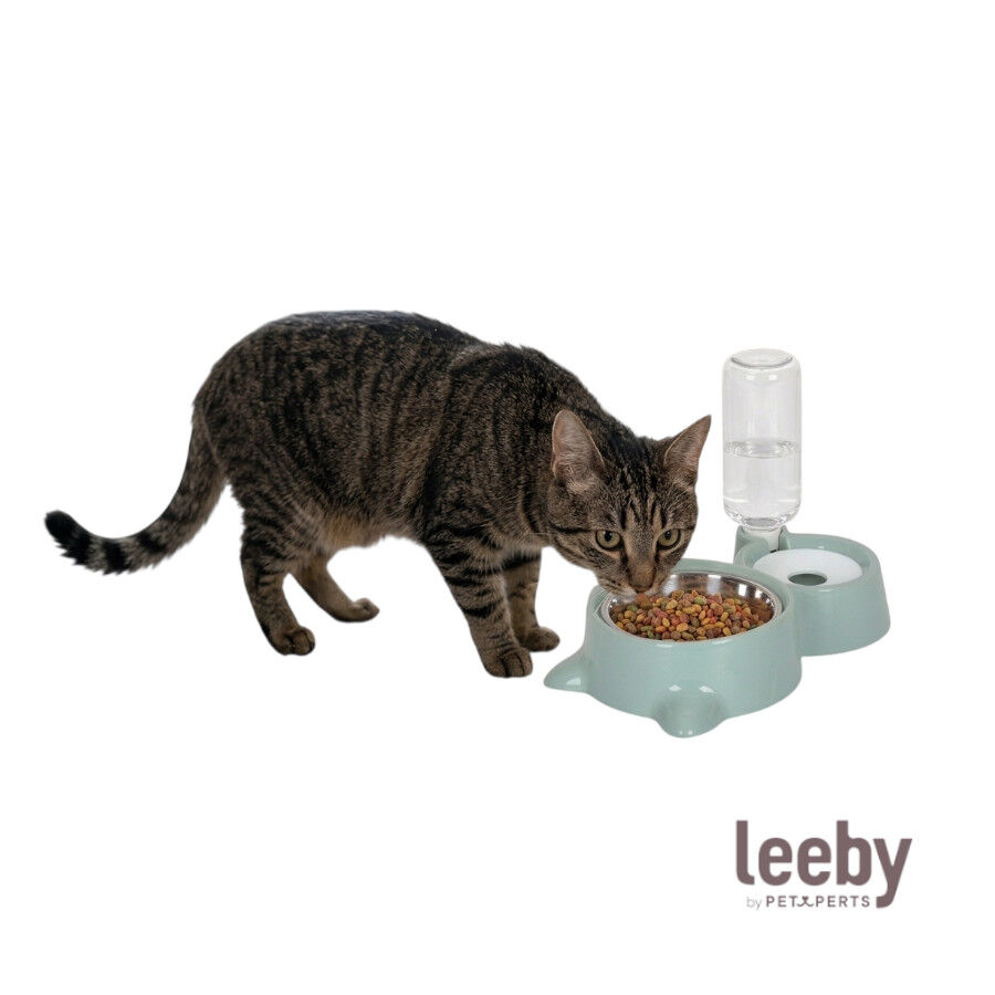 Leeby Comedero y Dispensador de Agua 2 en 1 Acero Inoxidable Verde para gatos