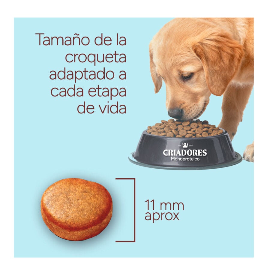 10 kg Criadores Monoproteico Puppy con Pollo pienso para perros, , large Imagen numero 8