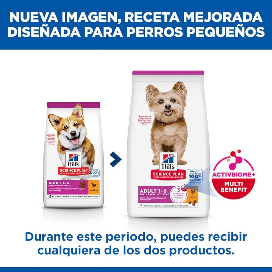 10 kg Hill's Science Plan Adult Small y Mini Pollo pienso para perros, , large indicador imagen numero 3
