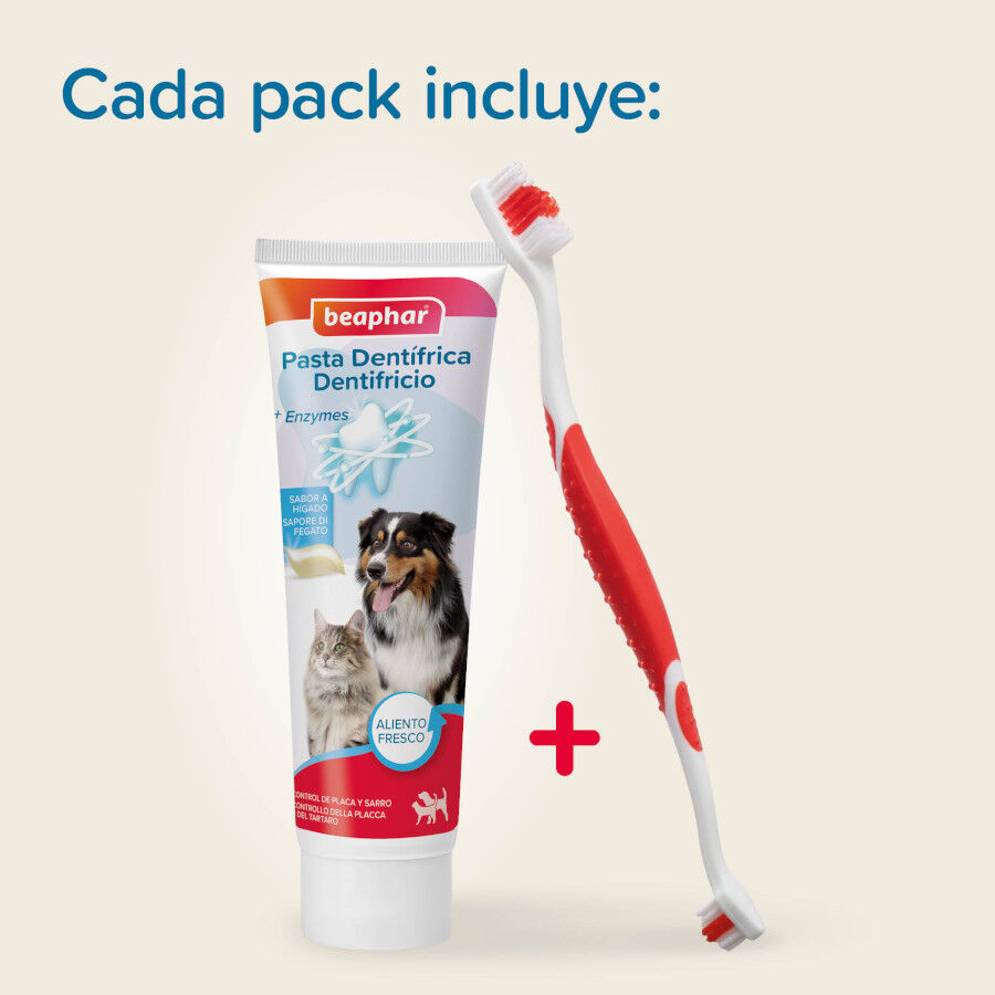 Beaphar Pack Dental Pasta y Cepillo para Perros y Gatos, , large Imagen numero 4