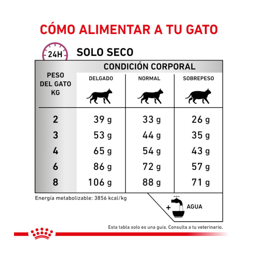 2 kg Royal Canin Veterinary Mobility pienso para gatos, , large Imagen numero 8
