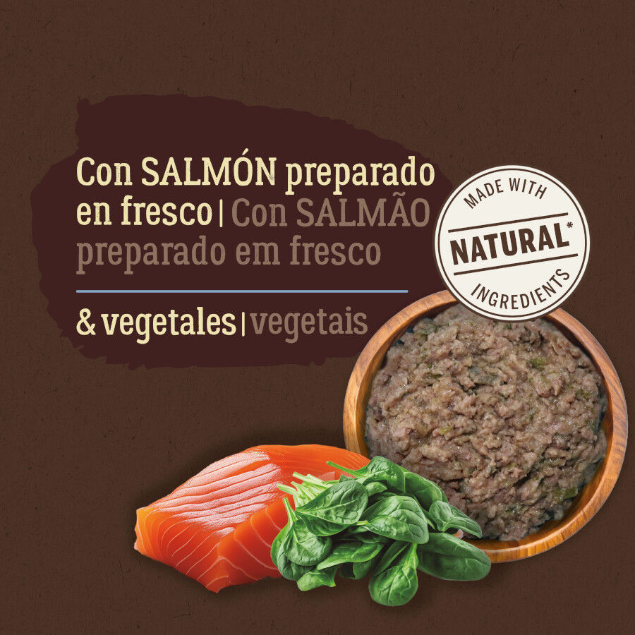 150 g True Origins Pure con Salm&oacute;n y Espinacas sobre para Perros, , large indicador imagen numero 3