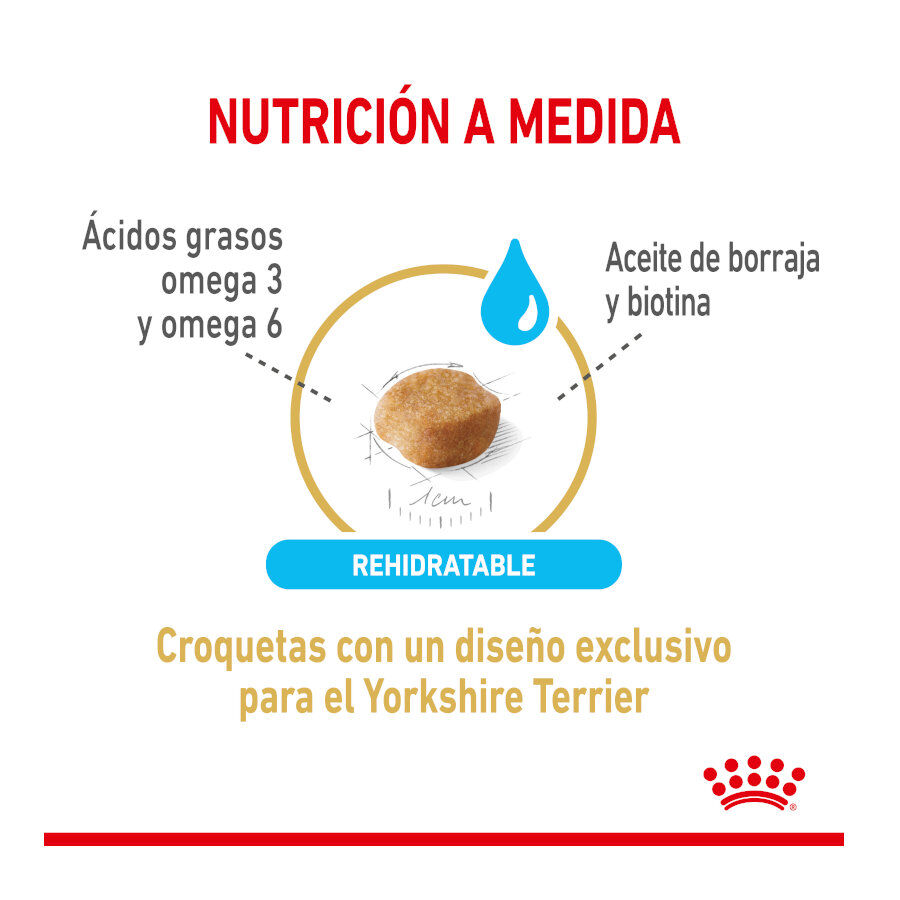 1.5 kg Royal Canin Adult 8+ Yorkshire pienso para perros, , large Imagen numero 4