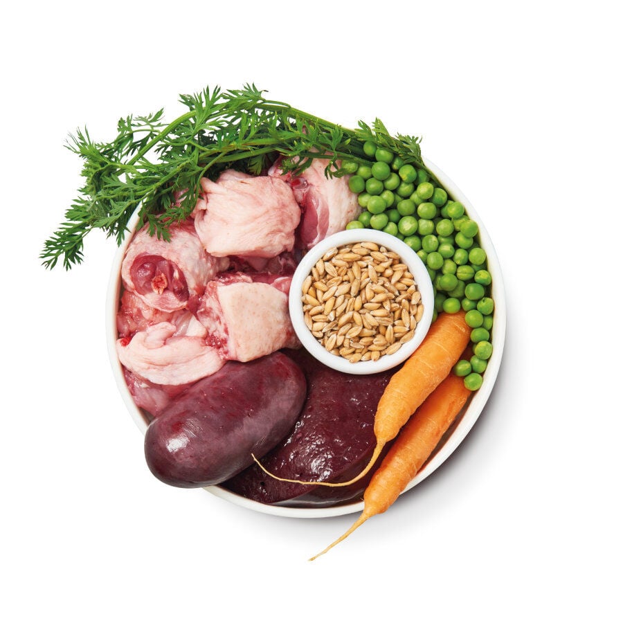 150 g Lily's Kitchen Organic pollo tarrina para perros, , large indicador imagen numero 4