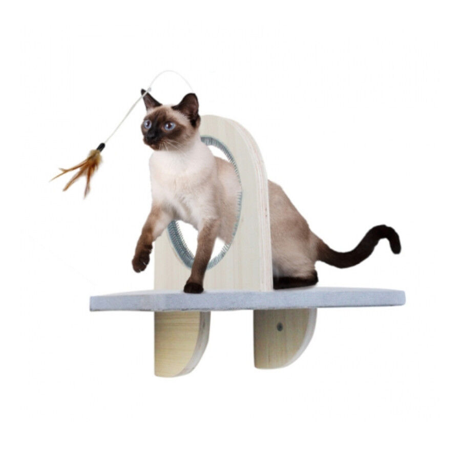 All For Paws Groom & Play Juguete para gatos con plataforma, , large Imagen numero 1