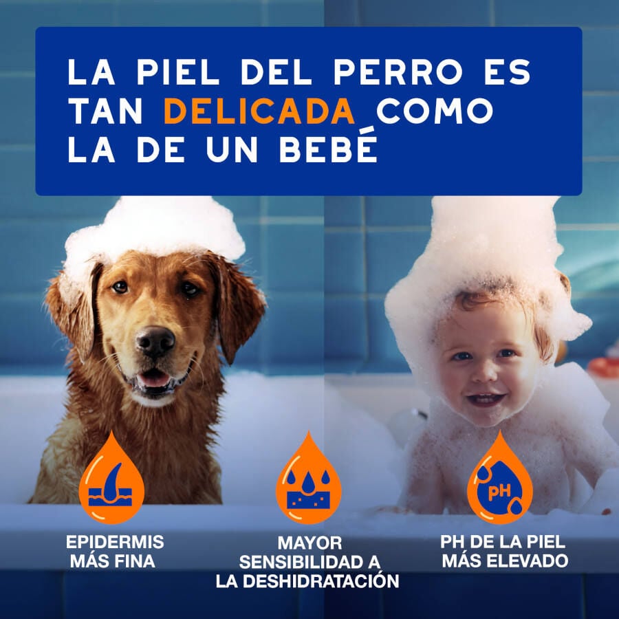 Ceva Douxo Spa Champ&uacute; 2 en 1 Desenredante para perros, , large Imagen numero 8