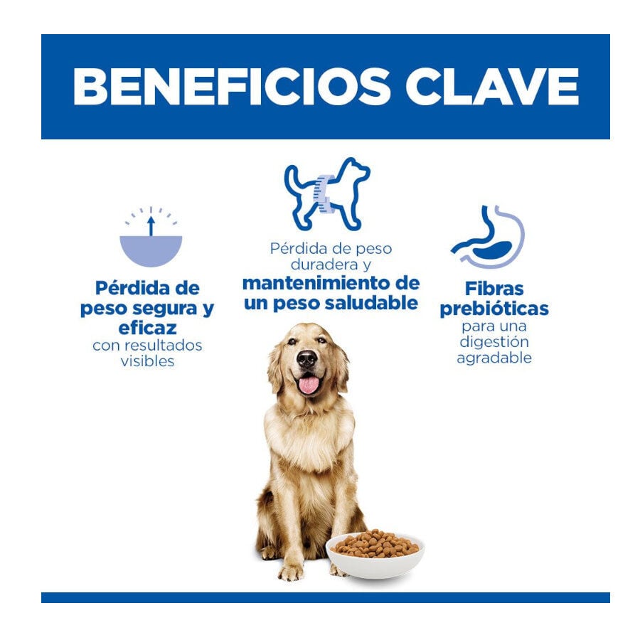 12 kg Hill's Science Plan Perfect Weight Adult Large Pollo pienso para perros, , large indicador imagen numero 3