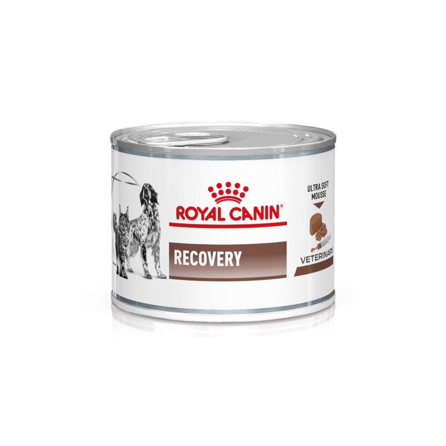 195 g Royal Canin Veterinary Recovery lata para perros y gatos, , large indicador imagen numero 1
