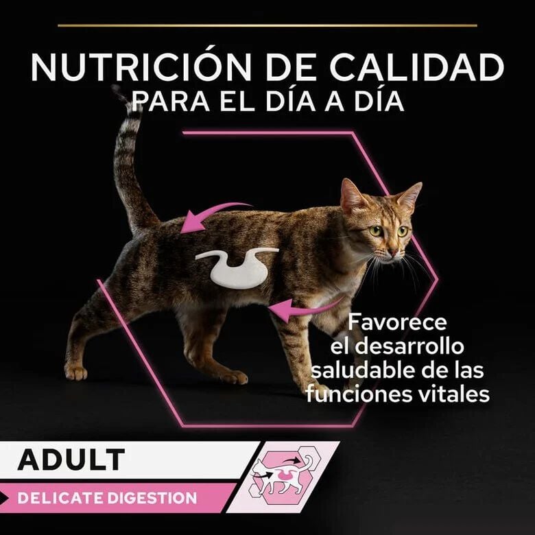 85 g Pro Plan Delicate Digestion con Pavo en Salsa para gatos, , large Imagen numero 3
