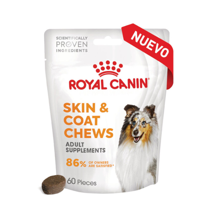 240 g Royal Canin Skin & Coat Chews Adult Suplemento nutricional para perros, , large indicador imagen numero 2
