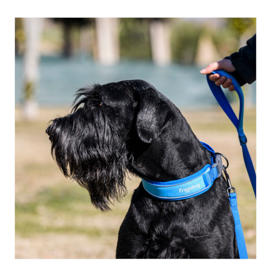 Freedog Cool Pro Tech Collar Refrescante Azul para perros, , large indicador imagen numero 7