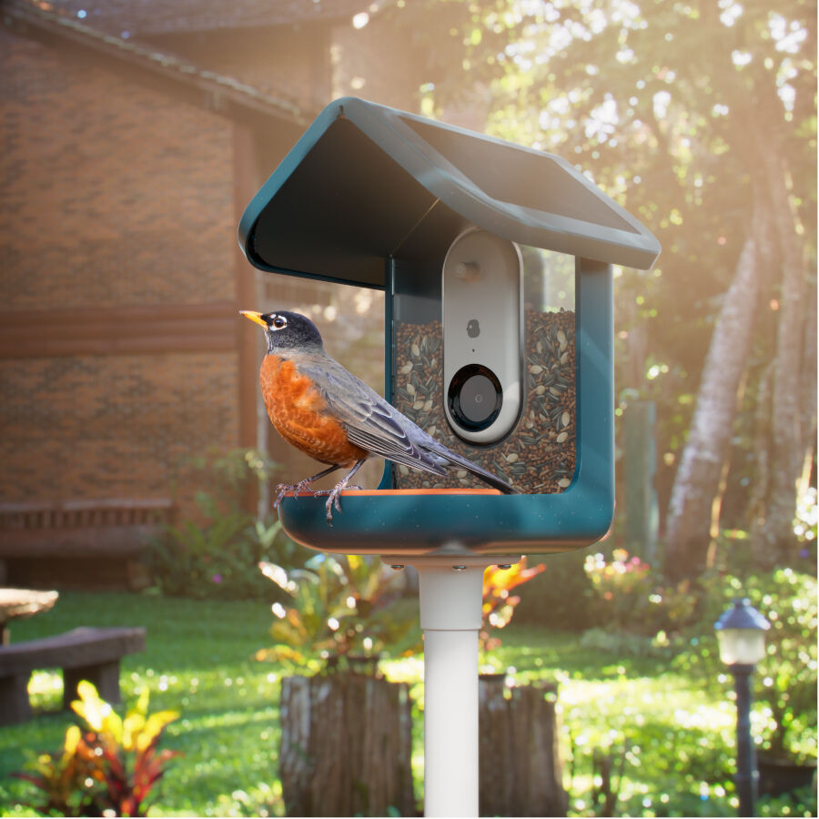 Birdbuddy Comedero Inteligente con C&aacute;mara para p&aacute;jaros, , large indicador imagen numero 5