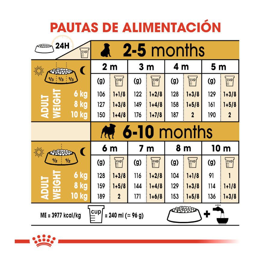1.5 kg Royal Canin Puppy Pug pienso para perros, , large indicador imagen numero 9