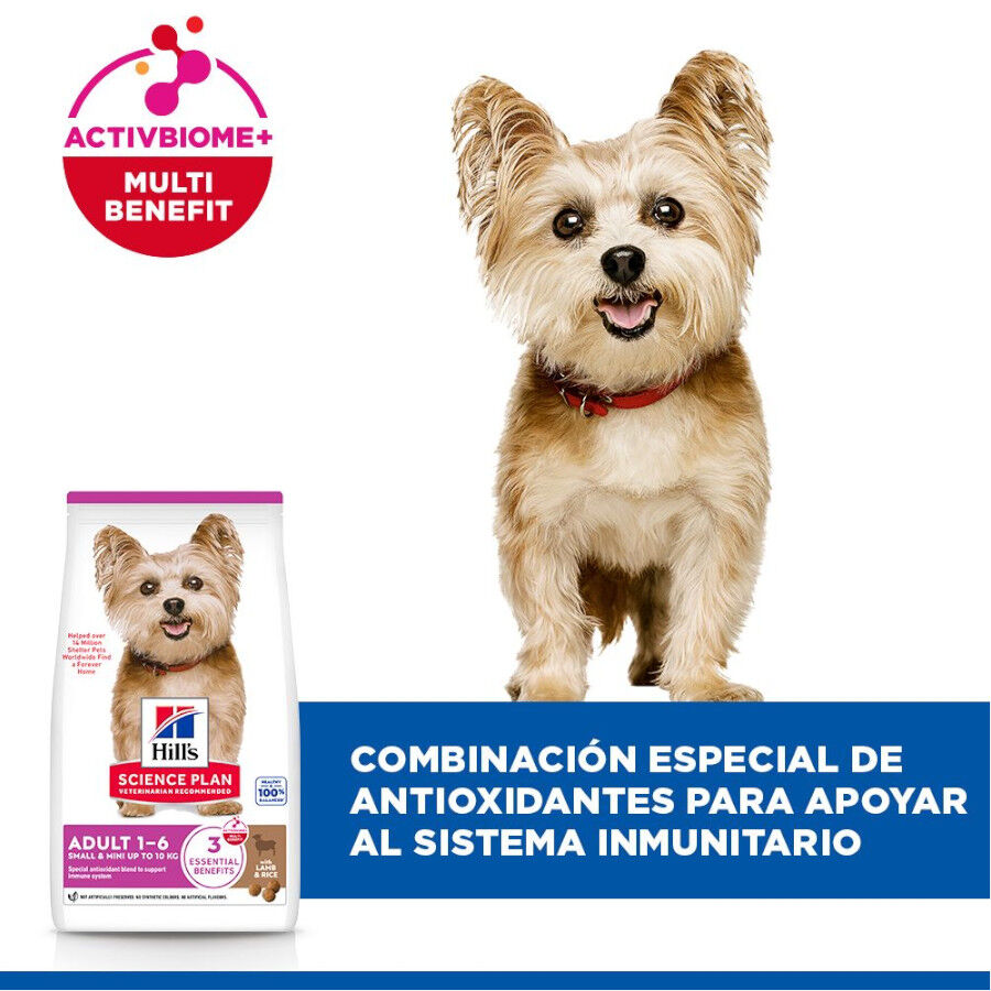 1.5 kg Hill's Science Plan Adult Small y Mini Cordero pienso para perros, , large indicador imagen numero 4