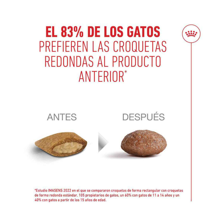 4 kg Royal Canin Ageing 11+ pienso para gatos&nbsp;senior, , large indicador imagen numero 11