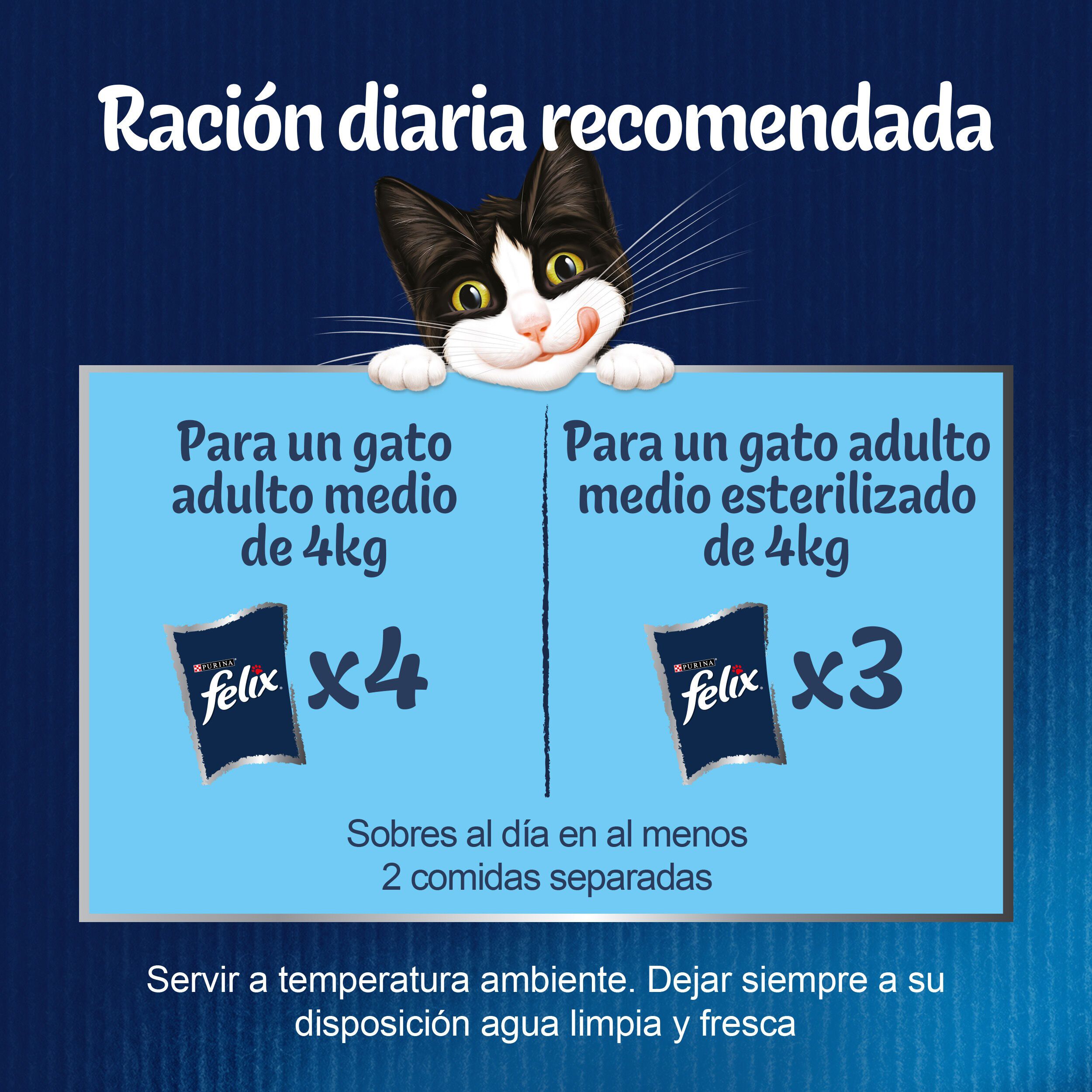 12 sobres x 85 g Felix Fantastic Duo Carne en Gelatina sobre para gatos, , large Imagen numero 3