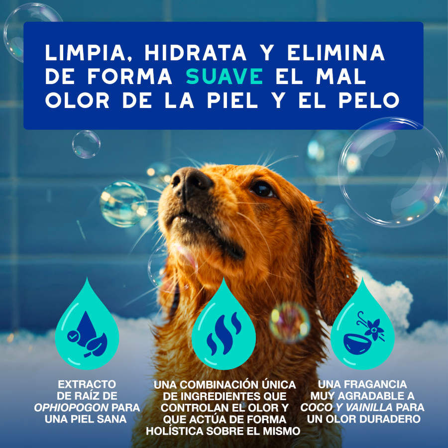 Ceva Douxo Spa Champ&uacute; Antiolor para perros, , large indicador imagen numero 8