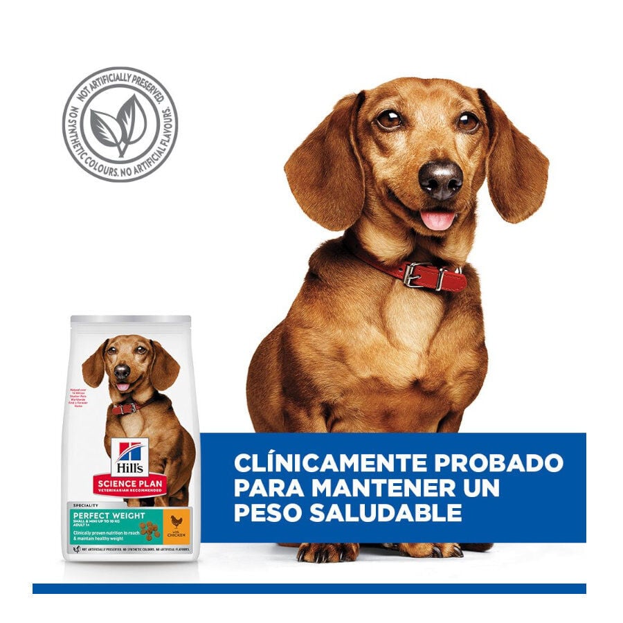 6 kg Hill's Science Plan Perfect Weight Adult Small y Mini pienso para perros, , large indicador imagen numero 5