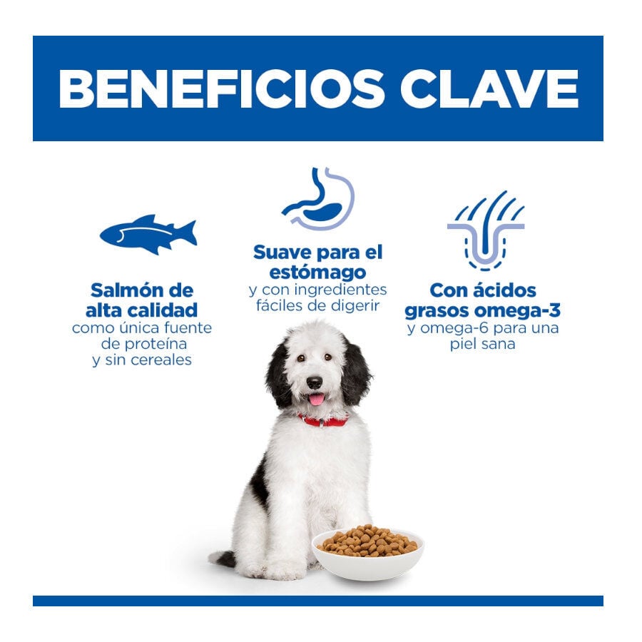 14 kg Hill's Science Plan Hipoalerg&eacute;nico Large Salm&oacute;n pienso para perros, , large Imagen numero 3