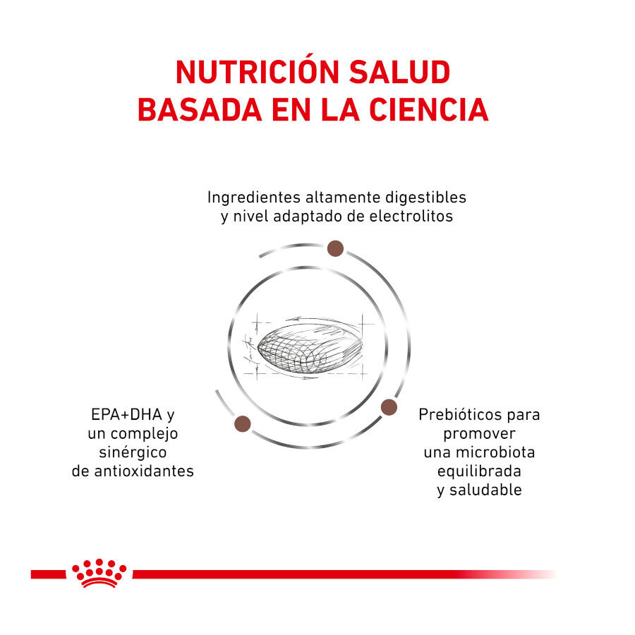 2 kg Royal Canin Veterinary Gastrointestinal Hairball pienso para gatos, , large Imagen numero 3