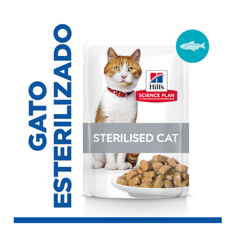 Hill's Science Plan Sterilised Young Adult Trucha Sobre en Salsa para gatos