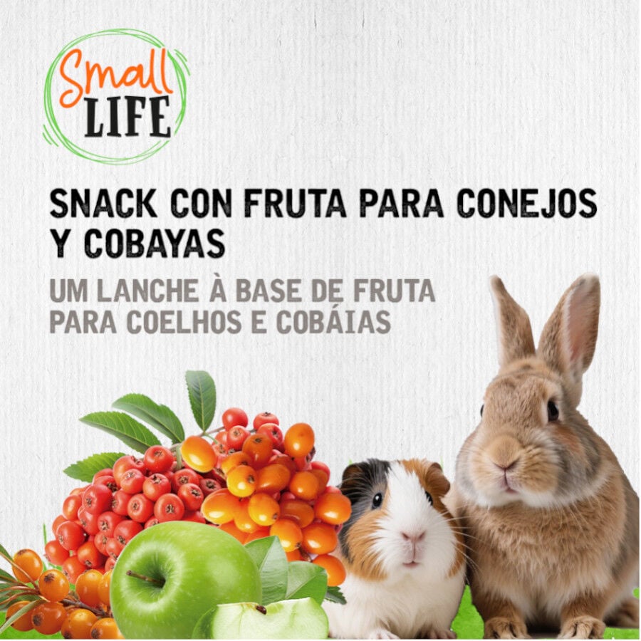 2 barritas Small Life Barritas Snack con Fruta para conejos y cobayas, , large indicador imagen numero 4