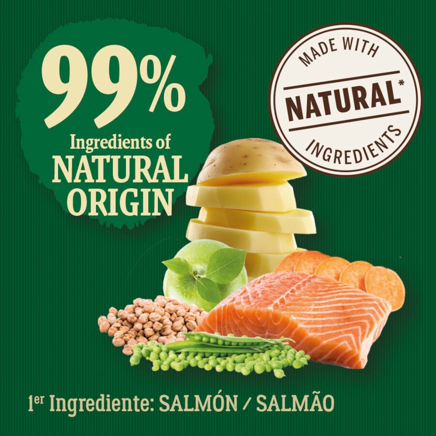 6 kg True Origins Wild Esterilizado Pacific Salm&oacute;n pienso para gatos, , large indicador imagen numero 3