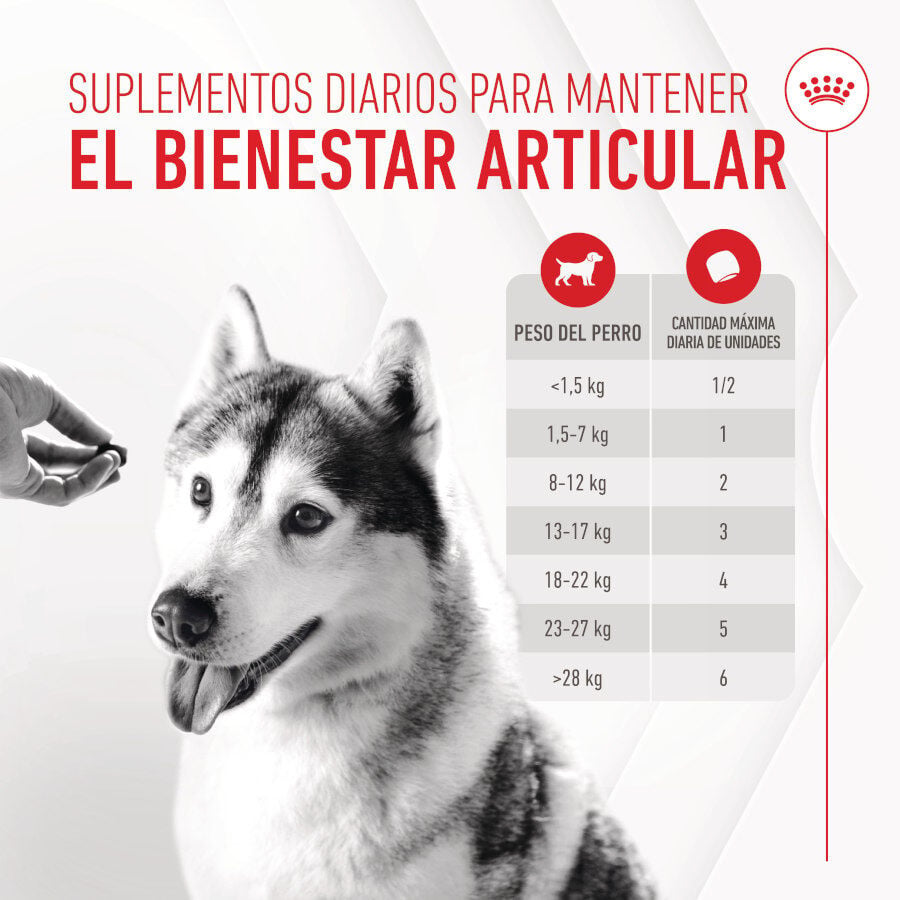 240 g Royal Canin Joint & Ageing Chews Suplemento Nutricional para perros senior, , large indicador imagen numero 5