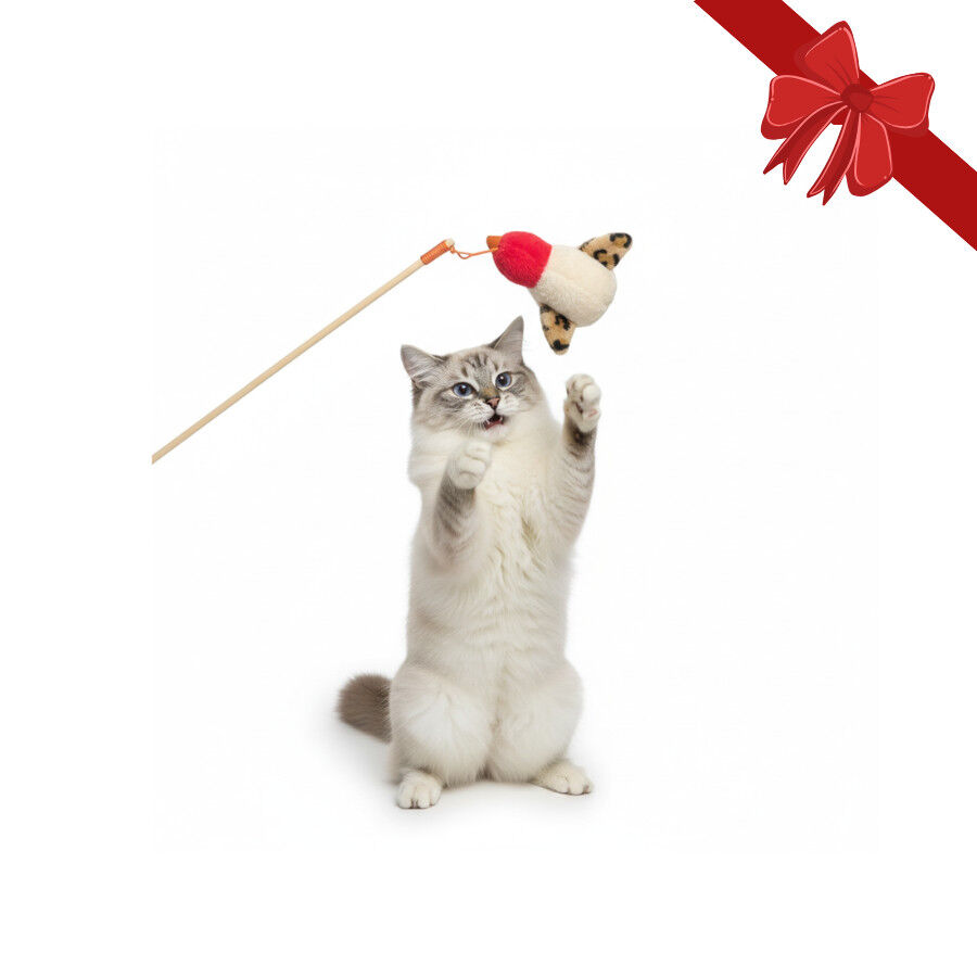 Wonder Christmas Juguete Ca&ntilde;a Navide&ntilde;a para gatos